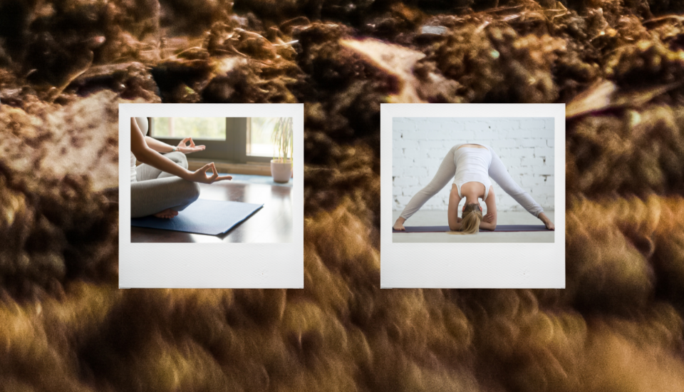 Yoga Images for article Gunas for Gaia in Mindful Soul Center Magazine