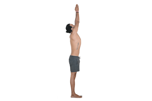 Urdhva Hastasana - yoga pose in Surya Namaskar A - Devvrat Yoga Sangha